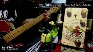 Animals Pedal  - Tioga Road Cycling Distortion - Test by Wat (no talk)