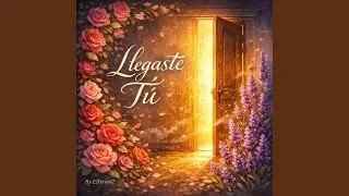 Llegaste Tú