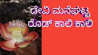 devimane ghatta