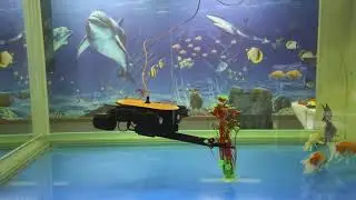 Underwater Drone -Titan T1 - Robotic Arm
