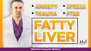 Stress, PTSD, Anxiety, Fatigue, Trauma Fatty Liver, NAFLD, NASH Flares, Inflammation Prevention urdu