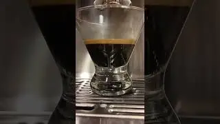 🫘➡️☕️ Espresso Brew Satisfying AF | Watch the Crema Bloom ✨ #shorts #coffee