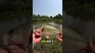 Fishing this HIDDEN and super muddy pond to see if I can catch some big fish&hellip; #fisherman #bass