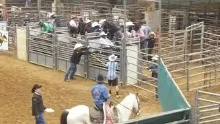 Ranch Bronc Ride Meridian First Black Rodeo