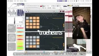*truehearts  - a beat preview