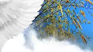Nature Walk / Прогулка на природе № 51 (May 14 Май)