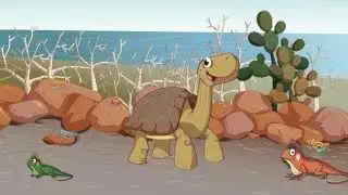 EL SOLITARIO JORGE