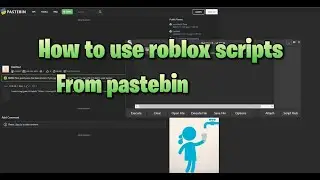 How to use roblox scripts/exploit from pastebin (2023) UPDATED