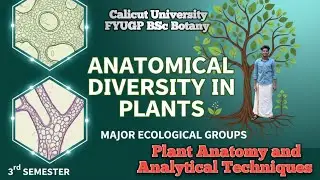 Major ecological groups| FYUGP - 3rd sem BSc Botany | Plant anatomy & analytical techniques 