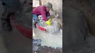 Natural pearl cleaning process