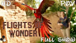 Flights of Wonder Full Show at Disney's Animal Kingdom 2017 HD POV