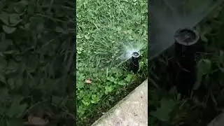 How Your Replacement Sprinkler Sprayer Head Should Work