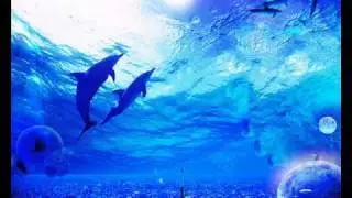 君とみた海
