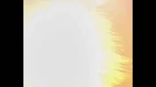 Maxlite CFL