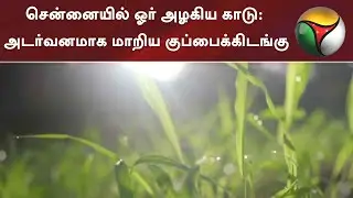 சென்னையில் ஓர் அழகிய காடு: அடர்வனமாக மாறிய குப்பைக்கிடங்கு | Chennai Corporation | Forest