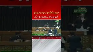 Who will save Pakistan Imran Khan Imran Khan, Ali Muhammad Khan went into a frenzy after signing