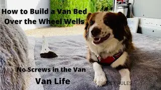 Van upgrades: How to build a van bed over the wheel wells for cheap #vanlife #vandog