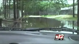 Multimedia News Producer: Chari Staples (Animals Soaked at Wildlife Park)