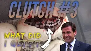 2019 Clutch #3 Egg Cutting