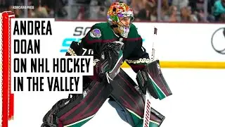 Could pro hockey return to the Valley?