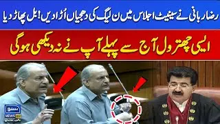 PPP Raza Rabbani's Aggressive Speech In The Senate | Suno News HD