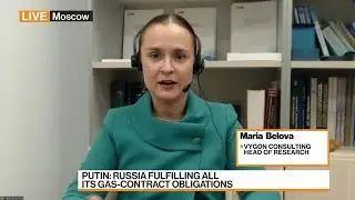 Vygon Consulting Head of Research on Europe Energy Crisis