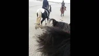 Strandgalopp