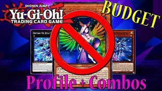 BUDGET Drytron Deck Profile + Combo Tutorial | (UNDER $100)