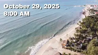 Daily Sargassum Sargasso Seaweed Report at Playa del Carmen, Mexico - October 29, 2025 #sargassum
