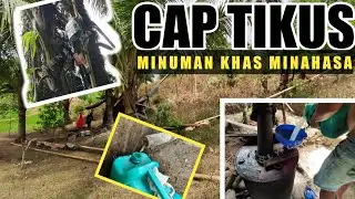 CARA PEMBUATAN CAP TIKUS - Alkohol Kebanggaan Minahasa || Tombasian (Venly Cool)
