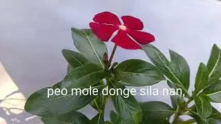 An.pil ketchie nipilman.na // Lyrics,(composer)// Sylverben Marak//7 December 2025