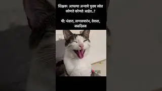 Dogesh Bhau #funny #dogtalk #trending#dog#memes#doglife#shorts#reels#marathi