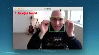 (Faster) Facial landmark detector with dlib demo