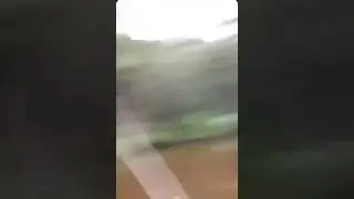 Опасное селфи с леопардом