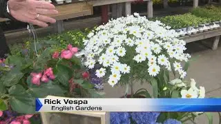 4 Your Garden: Perfect Mother&rsquo;s Day gift