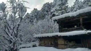 Kinnaur Heavy Snow 23/1/2019