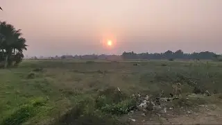 “Aaj Ka Sunset Kuch Alag Tha 🌅 | Daily Vlog”