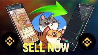 Catizen Binance withdrawal SELL #catizenbinancewithdrawal