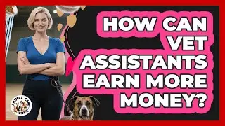 How Can Vet Assistants Earn More Money? - Animal Care Jobs
