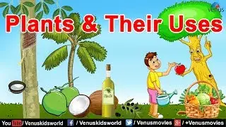 World Of Knowledge  ~ Plants & Their Uses