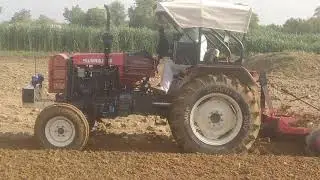Swaraj 855 in 7-7 herrow|#hrj_tractor_touchen|swaraj 855 tractor ki herrow main full speed and power