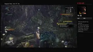 Let's play monster hunter
