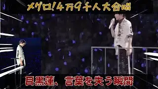バンテリンドームを揺るがす4万9000人の「メグロ！」コール、高さ20メートルで目黒蓮が見た景色とは？ 涙に込められた言葉を失うほどの幸福感の理由。