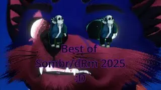 Best of Sombra/dRm 2025!
