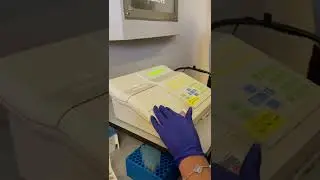 Reading Absorbance using Spectrophotometer