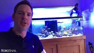 RoboSnail Chris home testimonial