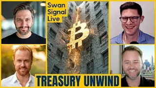 The Bitcoin Reset, Treasury Unwind & What&rsquo;s Ahead