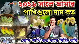 পাখির দাম কত টাকা || ২০২৬ সালে কোন পাখিগুলো কত দামে বিক্রি করি || bird price || Birds of village