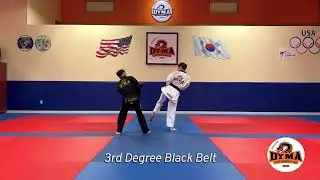 Basic Kicking Techniques (Dan 1 - 4)