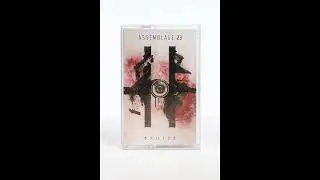Assemblage 23 - The Noise Inside My Head (1983 Remix by Headframe)